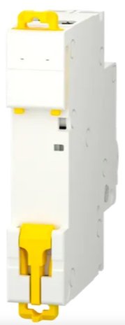 Schneider Installatie Automaat 1P + N 16A C-kar R9P19616
