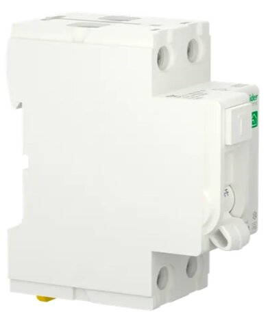 Schneider AardlekSchakelaar 63A 30mA 2P - R9R35263