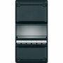 InstallatieKast Eaton Holec leeg met DIN-rail HT110-S42
